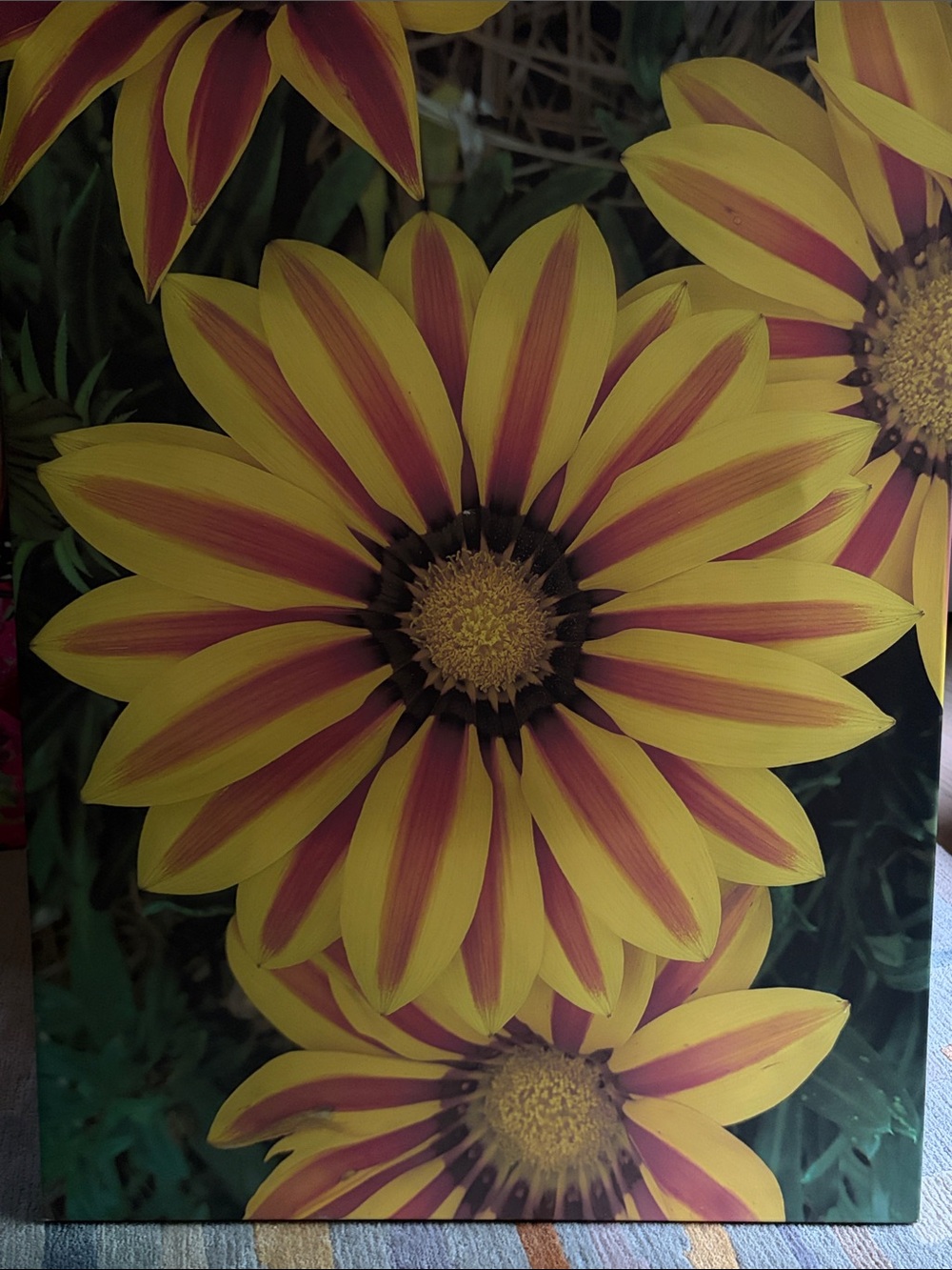 Yellow and Red Striped Floral Canvas Wall Art